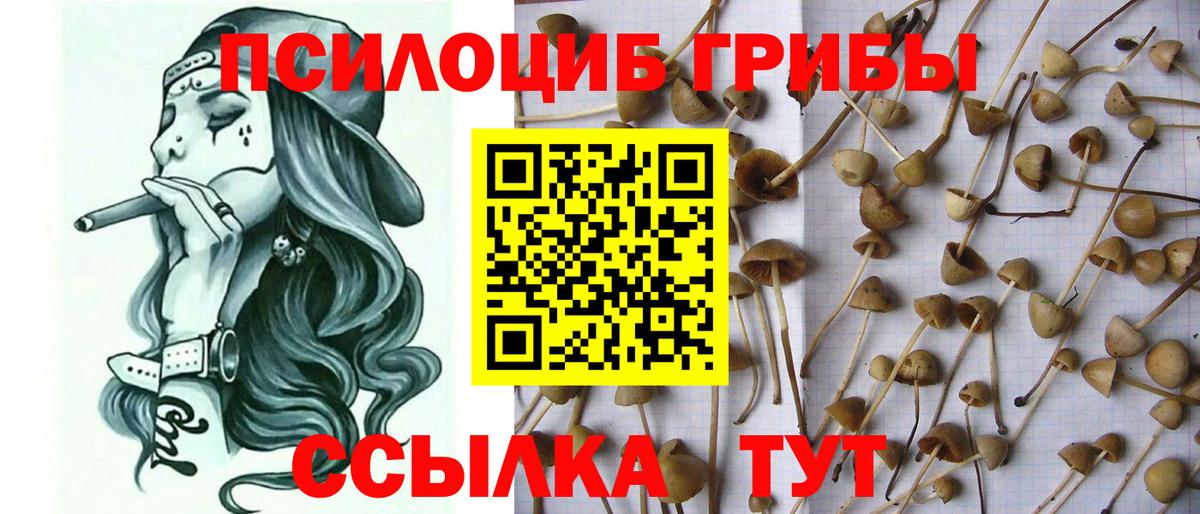 Галлюциногенные грибы мицелий Алушта
