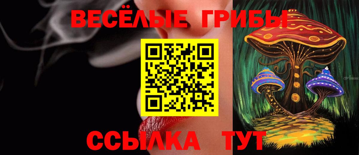 Галлюциногенные грибы ЛСД  Псилоцибиновые грибы ЛСД  Вход с VPN  Алушта 